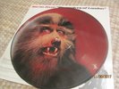 Warren Zevon - Werewolves Of London 12