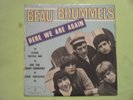 RARE FRENCH EP BEAU BRUMMELS/EP.112/WARNER BROS/HERE WE ARE AGAIN/GARAGE PSYCH
