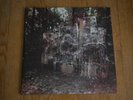 Wildlife - La Dispute, Double LP, Colored Vinyl