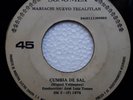 MARIACHI NUEVO TECALITLAN CUMBIA DE SAL CUMBIAS EN MOOG  ???  # 1