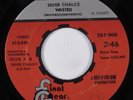 Punk 45 SILVER CHALICE Wasted FINAL GEAR HEAR