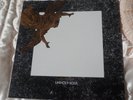 VINTAGE 1980`S VINYL LP`s - THE ORCHIDS 