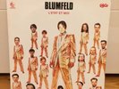 Blumfeld L´Etat Et Moi Schallplatte Vinyl 1994 RAR