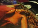 ROXY MUSIC ? STRANDED ?  ARCHIVBESTAND TADELLOS ERSTPRESSUNG NUDECOVER UK 1973
