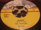 THE WAILERS 
