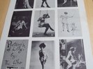THE WHO - PICTURES OF LILY 1967 original retail advertising promo poster.