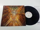 CYNIC FOCUS LP ORIG. 1ST PRESS 1993 RARE