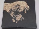 Pixies   Death To The Pixies BOX SET Vinyl Record Album 10