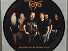TOTO - Falling in Between Live PHOTO VINYL SINGLE 12