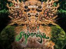 Shpongle - Codex VI (6) Limited Edition Green Vinyl LP Twisted Records Psybient