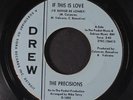 PRECISIONS: If This Is Love / You'll Soon Be Gone 45 (plays strong, label wear,
