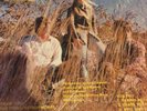 The Folklords– Release The Sunshine  vinyl, Lion, w/ 7