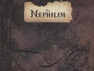 Fields Of The Nephilim vinyl LP album record The Nephilim UK SITU22