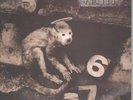 PIXIES Monkey Gone To Heaven 7