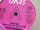 Demo - Little Richard - A Little Bit Of Something/ Poor Dog (Outta Sight)