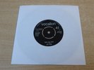 Roy Head/Treat Her Right/1965 Vocalion 7