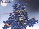 Something For Kate Echolalia Vinyl LP 2001