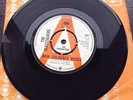 Rain Coloured Roses / Everything Is You / Beatstalkers / Bowie / Demo / CBS