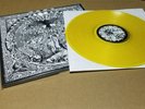 Oi Polloi saorsa LP punk varukers tragedy infest state of fear discharge mob 47