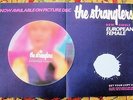 THE STRANGLERS U.K. RECORD COMPANY PROMO WINDOW POSTER 'EUROPEAN FEMALE' SINGLE