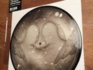 Kate Bush Lake Tahoe Picture Disc 10“  RSD 2012 Limitiert Vinyl