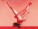Vertical Horizon - Everything You Want [LP]  VINYL LP NEW