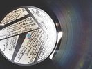 POINTED STICKS- PERFECT YOUTH- 1980 QLP002-LP/Vinyl/Record