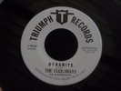ZZ4 TRIUMPH 65 SURF ROCK THE CLEE-SHAYS RICHARD DELVY DYNAMITE  MAN FROM UNCLE
