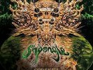 Codex Vi - 3 DISC SET - Shpongle (2017, Vinyl NEUF)