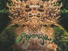 SHPONGLE - Codex VI - Vinyl (trifold coloured vinyl 3xLP)