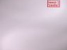 BEACH FOSSILS - Somersault - Vinyl (gatefold LP + MP3 download code)