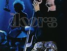 THE DOORS - Absolutely Live ( VINYL 2LPS 2017 )