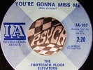 RARE 1966 MONO = 13Th FLOOR ELEVATORS = YOU'RE GONNA MISS ME (45) PSYCH GARAGE