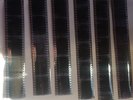 The Damned -  Original 1976 Photo Negatives One of a Kind Item