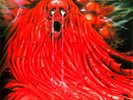 MORGOTH - Resurrection Absurd - Vinyl-LP - black Vinyl