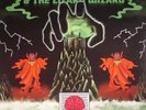 KING GIZZARD & THE LIZARD WIZARD - I'm In Your Mind Fuzz - Vinyl (LP)
