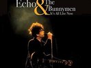 Echo & The Bunnymen-It`S All Live Now  (US IMPORT)  VINYL NEW