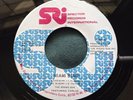 Hear Rare Funk Modern Soul 45 : The Rising Sun   Miami Bump   SRI 1001