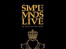 Simple Minds Live In The City Of Light NEAR MINT Virgin 2xVinyl LP