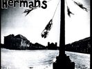 The Dog Faced Hermans - Humans Fly [New Vinyl LP]