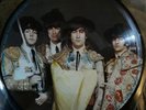The Beatles Timeless  Picture Disc Vinyl LP