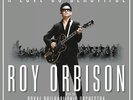 Roy Orbison - Love So Beautiful