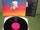 THE BATS Fear Of God Orig 1st UK ROUGH TRADE 1992  + Lyric Insert