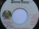 DIGITAL MURDER Yami Bolo It's Not Surprising JA Grove Music 45 Listen