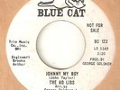 THE AD LIBS Johnny My Boy BLUE CAT PROMO STAFFORD  NORTHERN SOUL 45