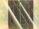 UNICORN-LP- BLUE PINE TREES- ORG. VIRGIN-UK- 1974- MINT