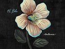 EL BUHO-BALANCE  (US IMPORT)  VINYL LP NEW