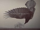 KATATONIA-FALL OF HEARTS  VINYL LP NEW