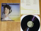 GRANDADDY Under the Western Freeway (2011) VINYL LP flaming lips.built to spill