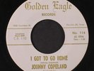 JOHNNY COPELAND: I Got To Go Home / Working Man's Blues 45 Hear  (mid-tempo moo